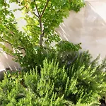 Casa Tatti- Calm E Natural Apartment *
