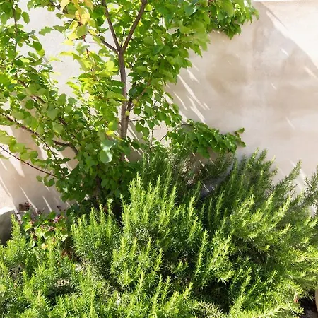 Casa Tatti- Calm E Natural Apartmán *